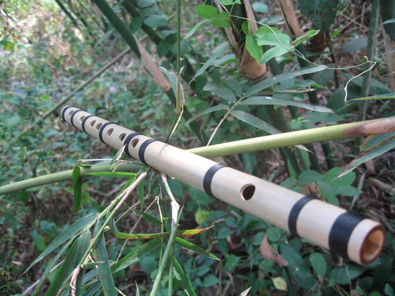 About Sao Truc (Vietnamese Bamboo Flute) Vietnam Tourism Information