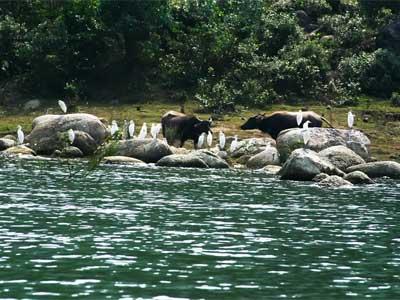 Núi Cốc Lake