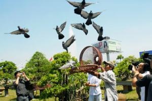 Releasing pigeons - Vietnamese folk games