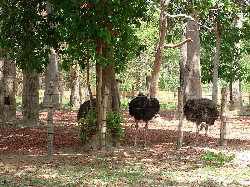 YokDon National Park