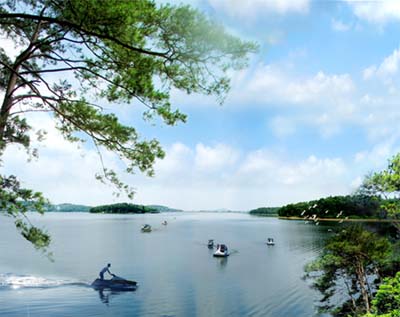 The Variety of Natural Environment in Dai Lai Lake 