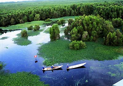 Enjoy an Adventuous Tour to U Minh Forest 