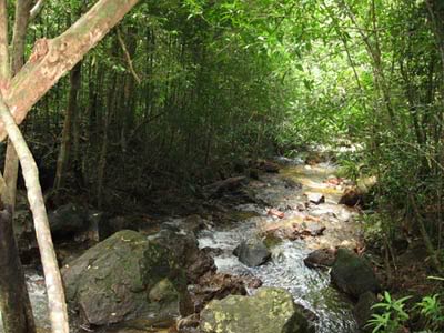 Tranh Stream- a Perfect Mixture of Stream, Beach, Forest and Mountain