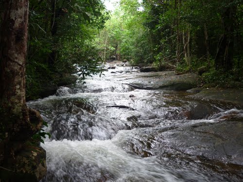 Tranh Stream - a Perfect Mixture of Stream, Beach, Forest and Mountain