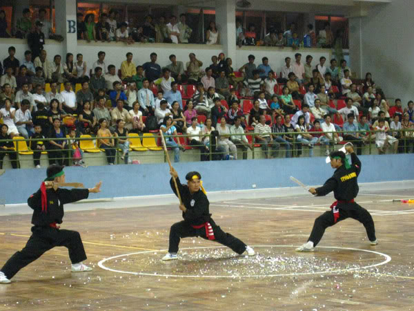 Vietnam Martial Arts to be 40th member of World Union
