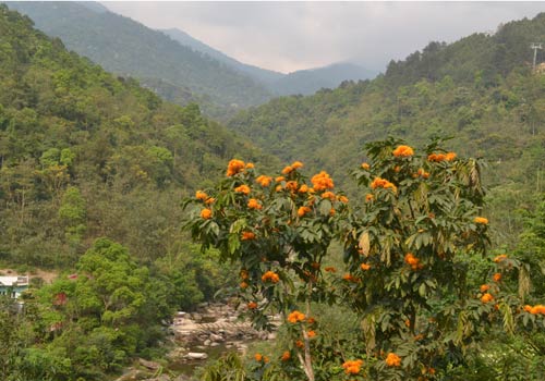 a famous scenic landscape in Tay Thien