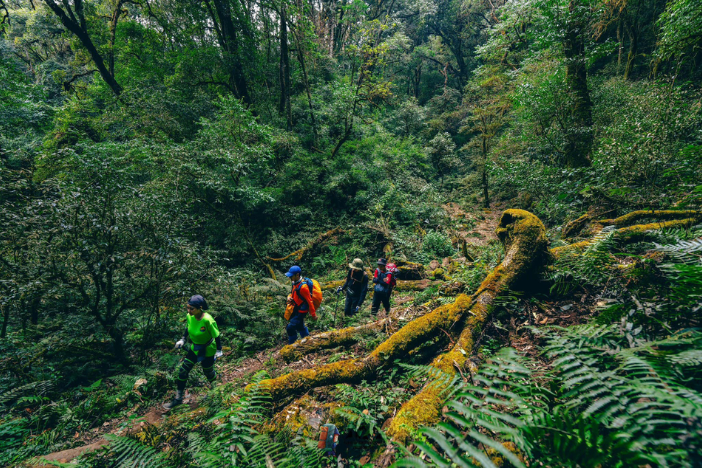 Through the Primary Forest to Explore a New Mountain Peak in Ta Xua