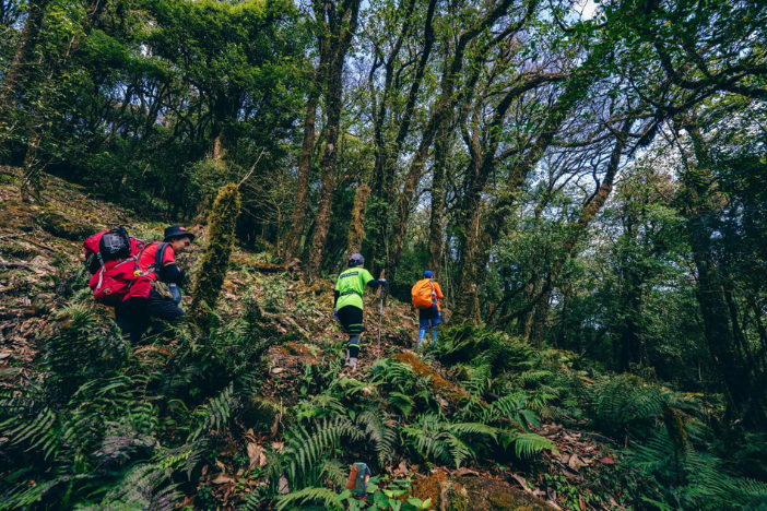 Through the Primary Forest to Explore a New Mountain Peak in Ta Xua