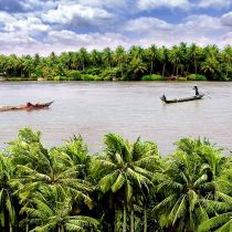 Ben Tre - a land of coconut and fresh fruits