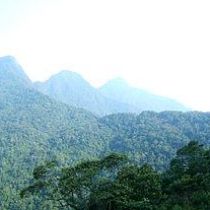 Tam Dao National Park