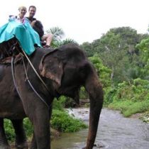 Riding elephant in Buon Don, Vietnam
