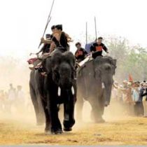 Elephant Race Festival, Dak Lak