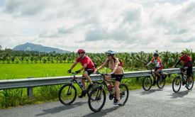 Why You Should Cycle To Cuc Phuong National Park?