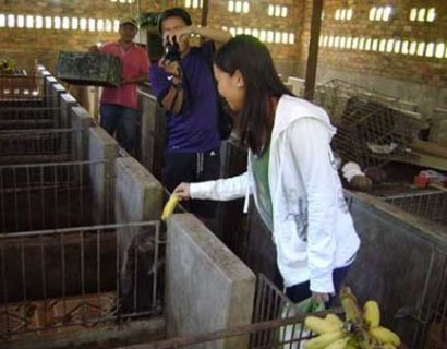 New destination with Dong Nai porcupine, bamboo rat farm