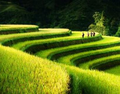 Ha Giang - A land of natural landscapes and special dishes