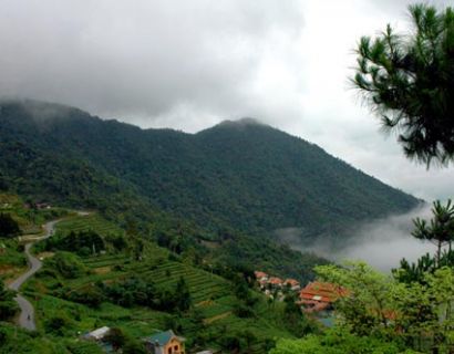 Tam Dao National Park - green lung of Vinh Phuc province