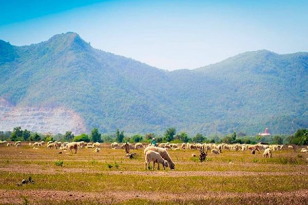 Nine travel hotspots for 2017 in Vietnam