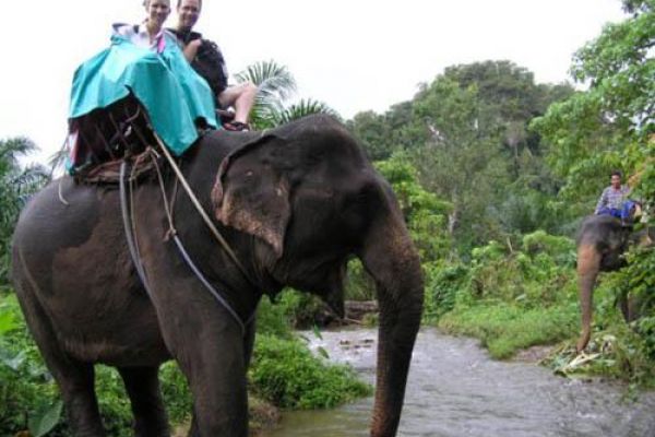 Riding elephant in Buon Don, Vietnam