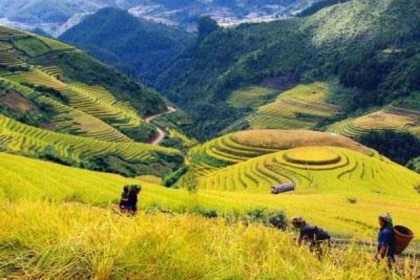Explore six extremely attractive places in the north of Vietnam in September 2