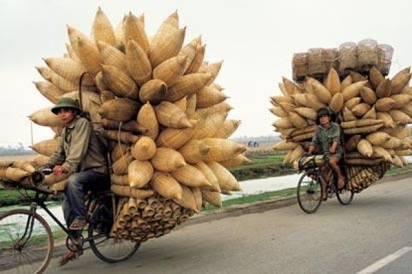 Vietnam's economic cycle turns once again