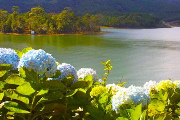 5 ideal places to view dreamy Dalat from high