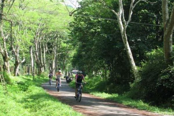 Cuc Phuong National Park Offers Escape From Humdrum City Life 