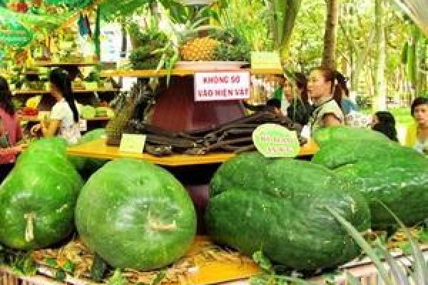 HCM City to host Southern Cuisine, Fruit Festivals