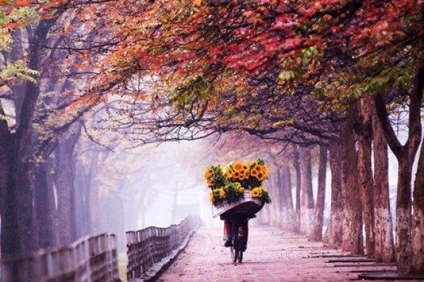 Backpacking tourism experiences in Hanoi