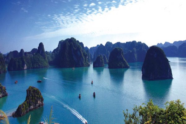 Online photo campaign launched to promote Vietnam’s tourism sector