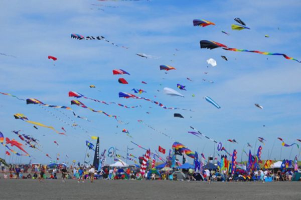 Int’l kite festival 2016 to open in Ba Ria- Vung Tau