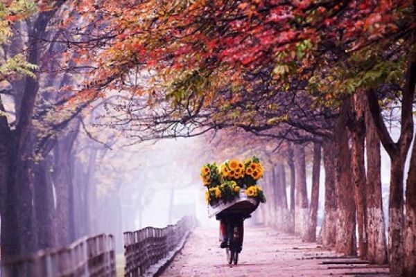 Autumn in Vietnam is the best time to travel