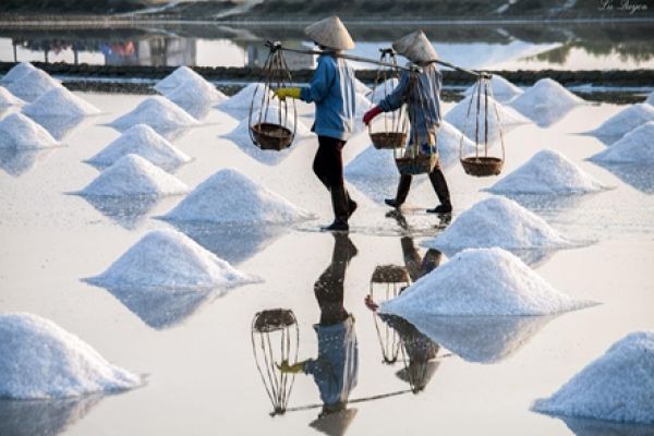 The beauty of labour in Long Dien salt field