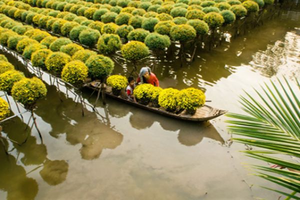 Mekong Delta tourism plan by 2020 approved