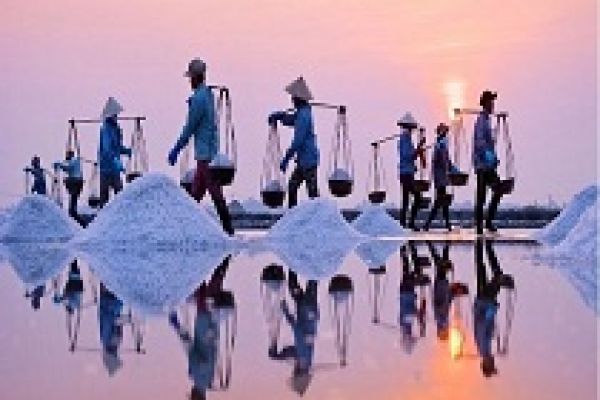 Enjoy the sunset on the salt fields in Vietnam