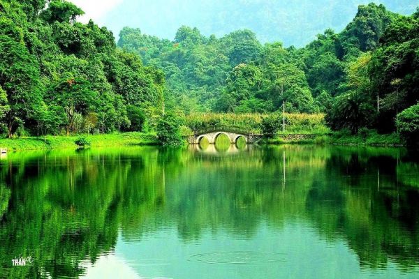 A beauty of Cuc Phuong national park