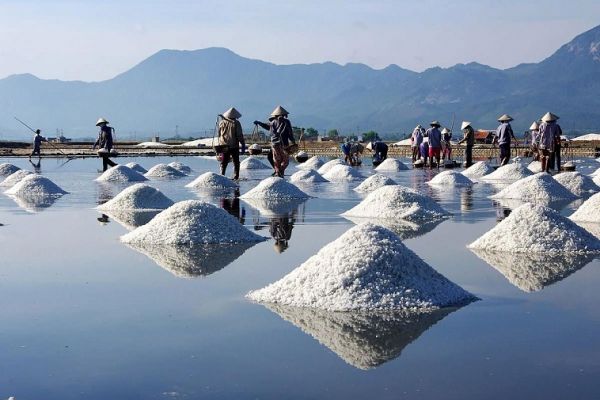 Enjoy the beauty of Hon Khoi salt fields