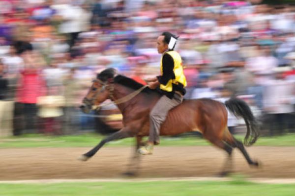 Vietnam's unique horse races