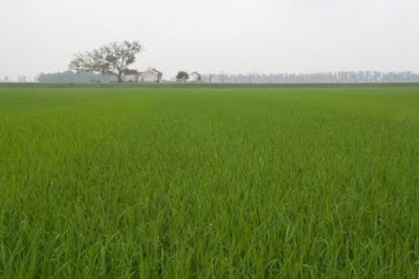 Central Vietnam, where enjoyment never ends