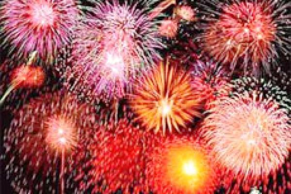 HCM City plans fireworks and flowers for Tet holiday 