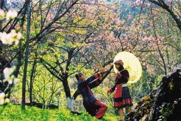 Sapa, the fanciful town in fog