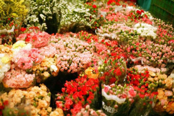 Quảng Bá flower-market