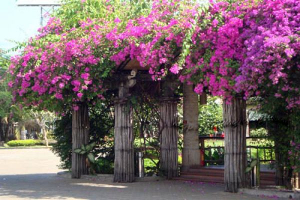 HCM City dwellers book summer tours