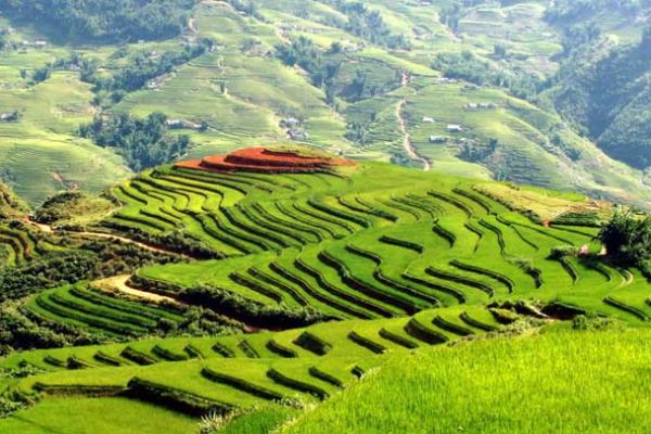  BBC chosen for Vietnam tourism commercial