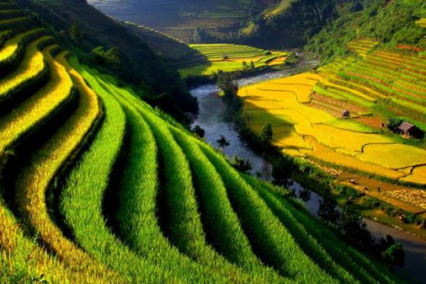 Lao Cai attracts over 632,000 tourists in six months of 2011