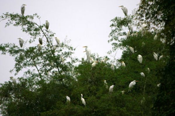 The beauty of Ben En National Park