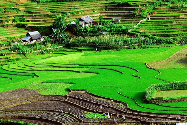 Vietnam travel - promoting tourism in Son La province