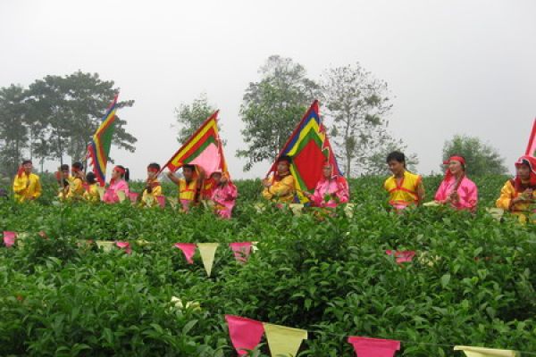 Viet Nam's first international tea festival in Thai Nguyen in November