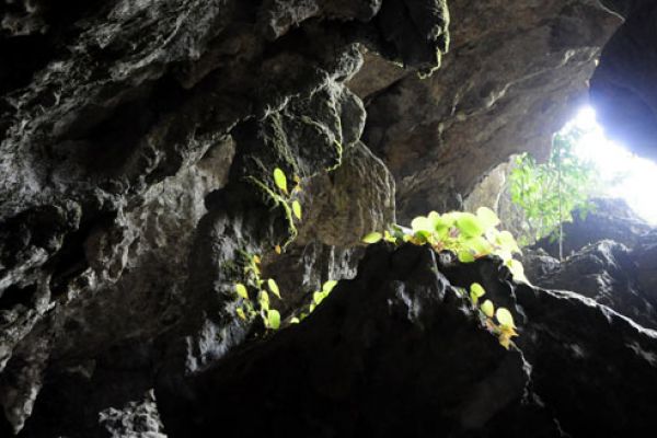 Pu Sam Cap Grottoes in Lai Chau
