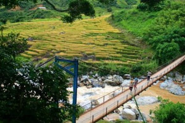 Terraced fields in Central Highlands of Vietnam