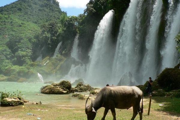 Ban Gioc Waterfall is a great destination for Vietnam Tourism